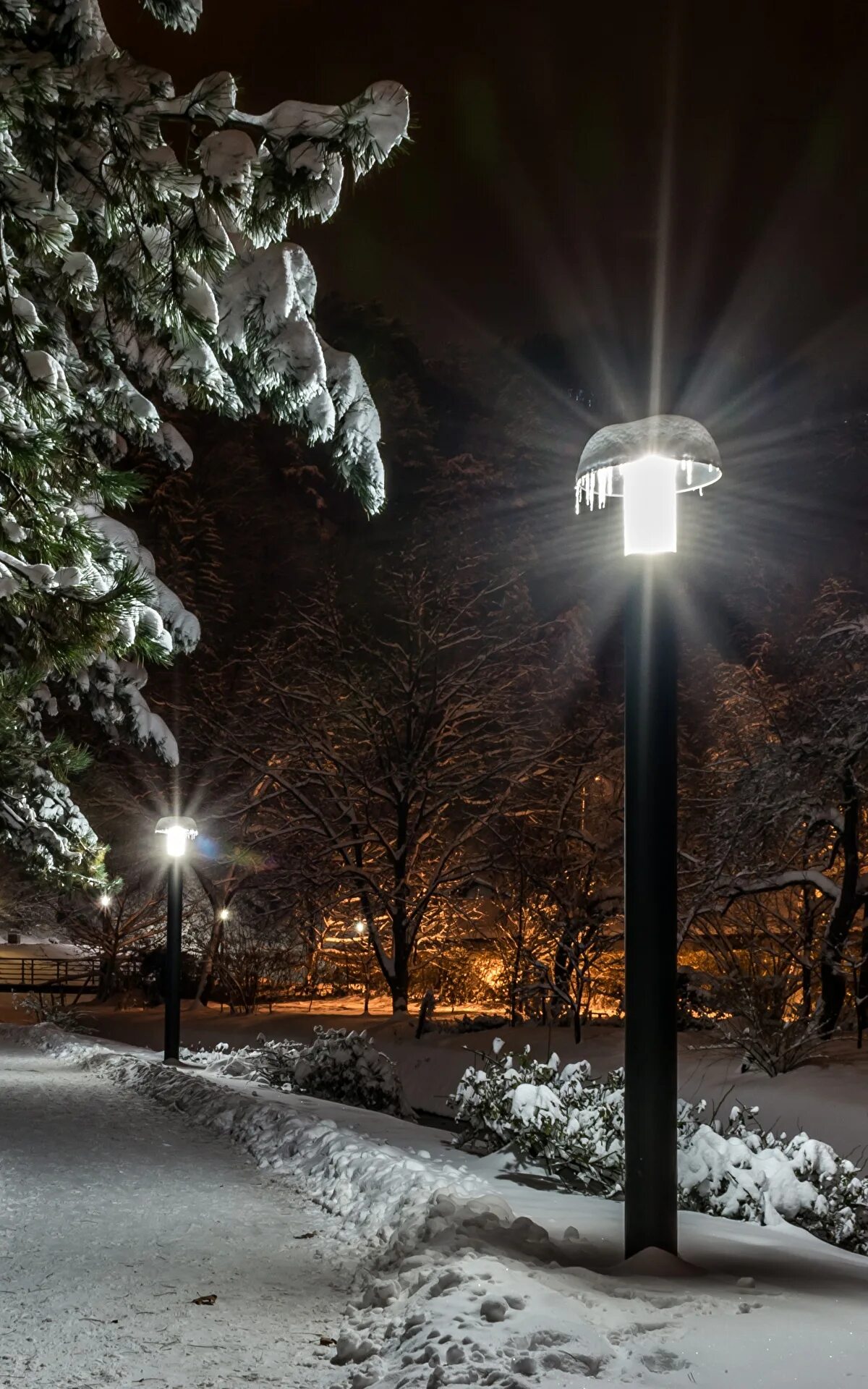 Ночные фонари обои на телефон. Зима ночь. Ночной зимний парк. Зимний парк ночью. Снег вечером.