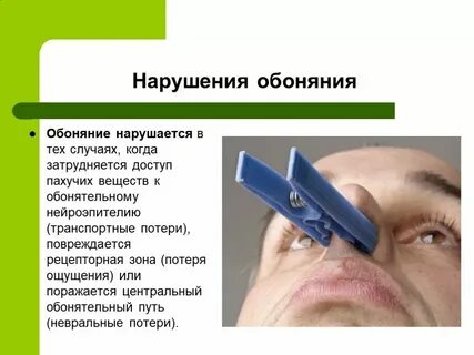 Причины потери обоняния при простуде