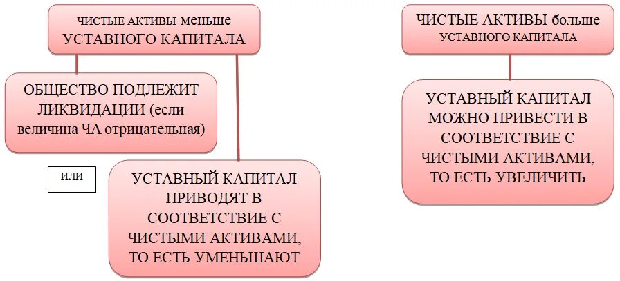 Активы ооо уставный капитал