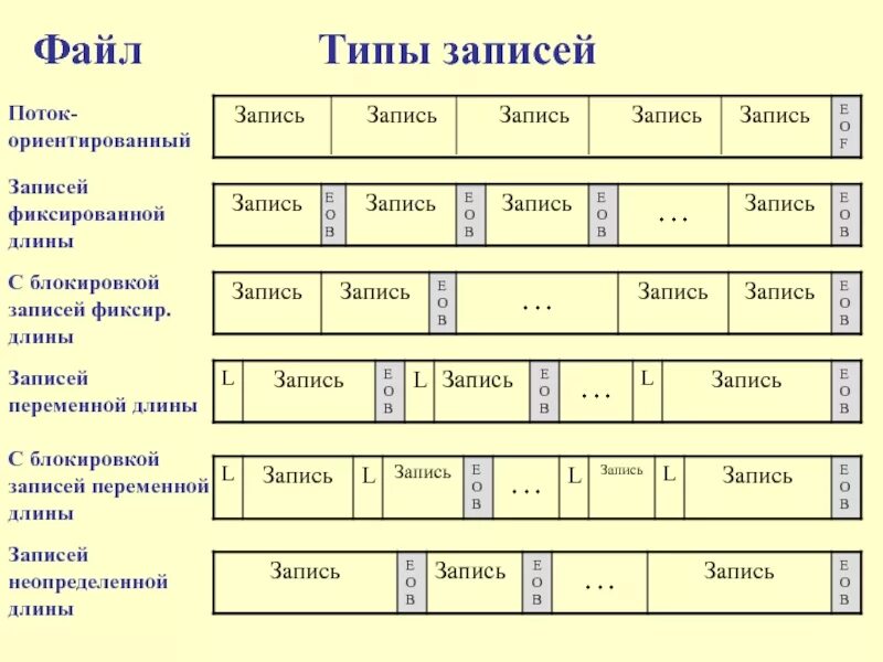 Форматы описания данных. Запись переменной длины. Запись файла. Физическая организация и адресация файла. Типы фиксированной длины..