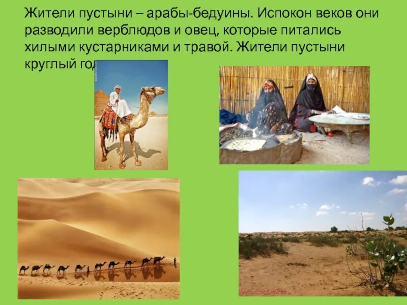 Жители пустыни – арабы – бедуины. Занятия людей пустыни. Деятельность ЛЮДЕЦВ пуствн. Занятия жителей в пустыне.