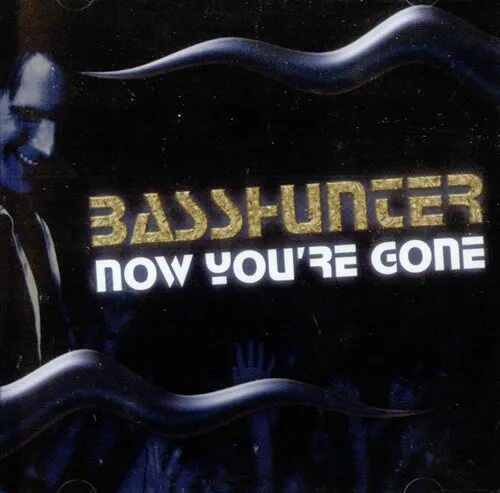 Песня now you re go. Песня now you re go. Now you're gone текст. Бассхантер now you're gone. Now you're gone basshunter текст.