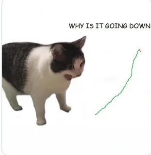 Why is my