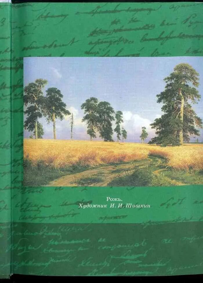 Литература 5 класса россия. Учебник по литературе. Учебник по литературе зеленый. Литература 5 класс. Литература 5 класс зеленый учебник.