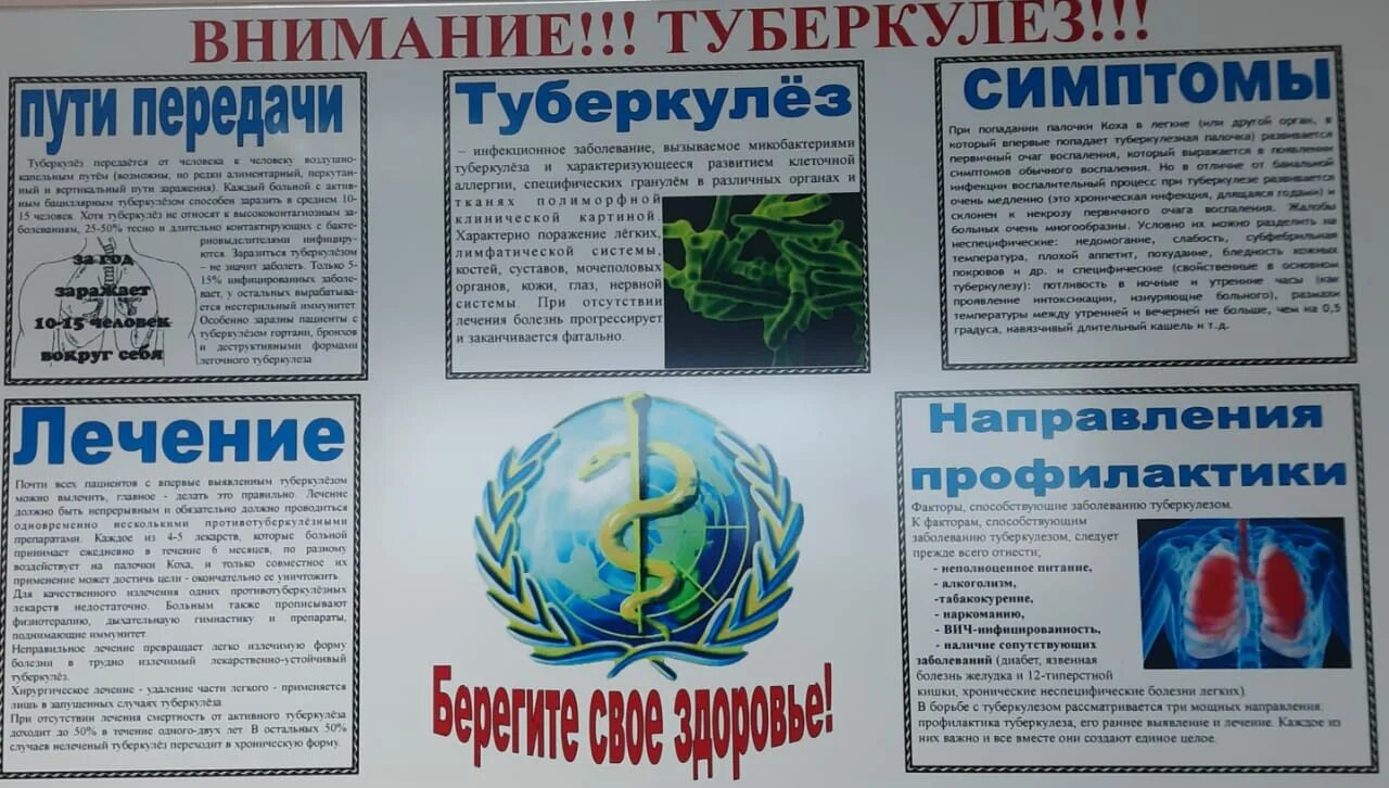 Факты о туберкулезе