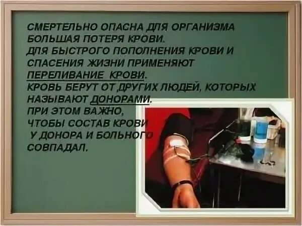 Критическая потеря крови для человека в литрах. Сколько крови может потерять человек. Опасная кровопотеря для человека. Что пить при потере крови