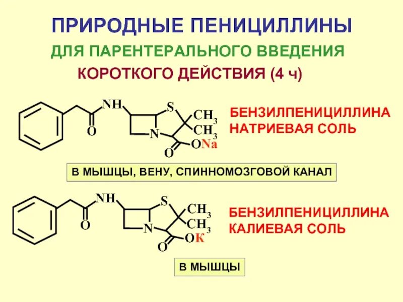 Пенициллин отличается