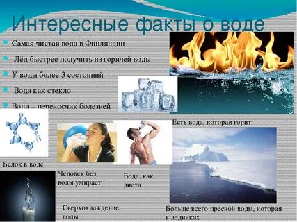 Интересные факты о воде