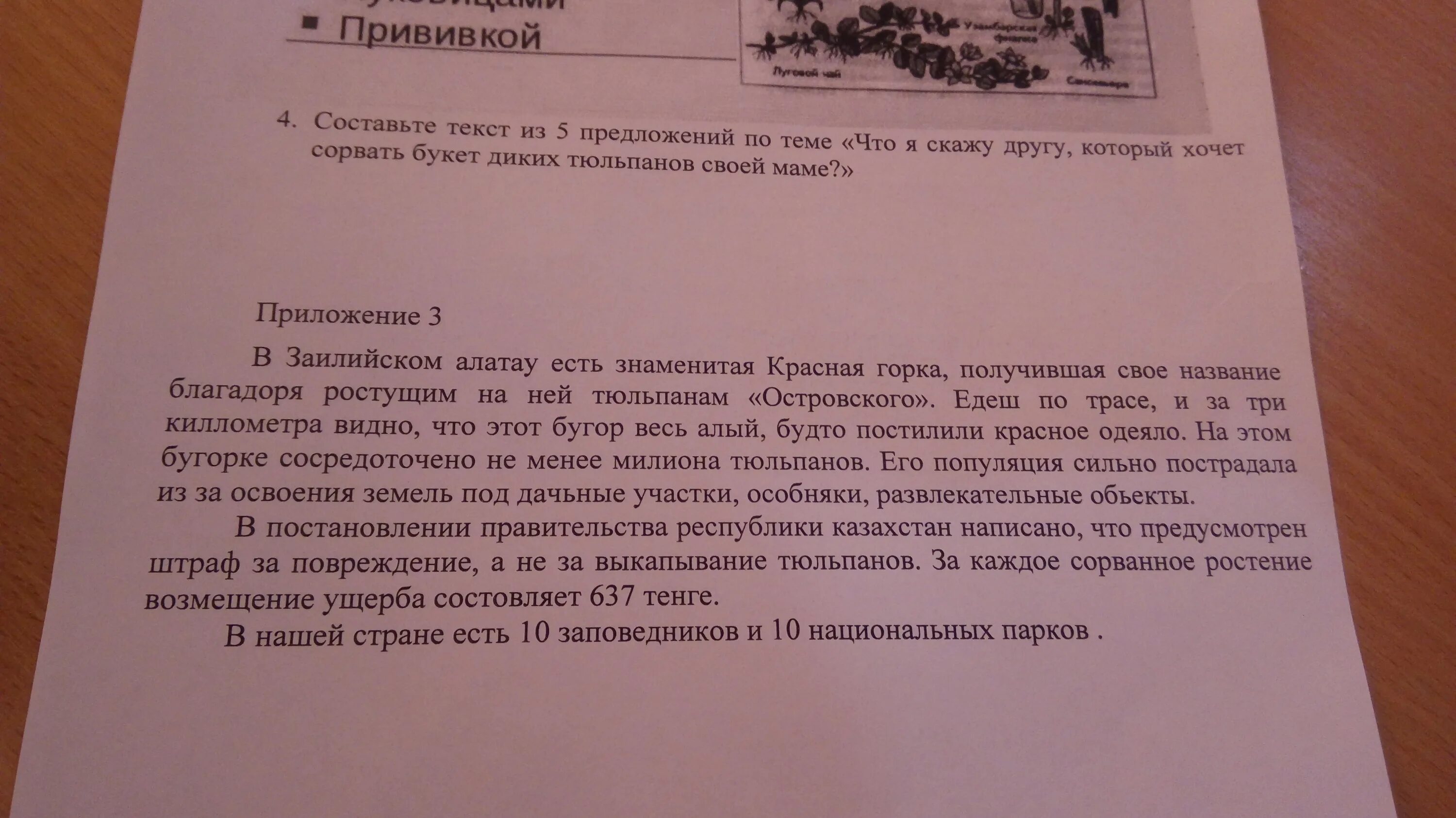 Составить текст хорошо быть. Текста с ошибками фото. Предложение которое ищет ошибки в тексте по фото. Текст по фото.