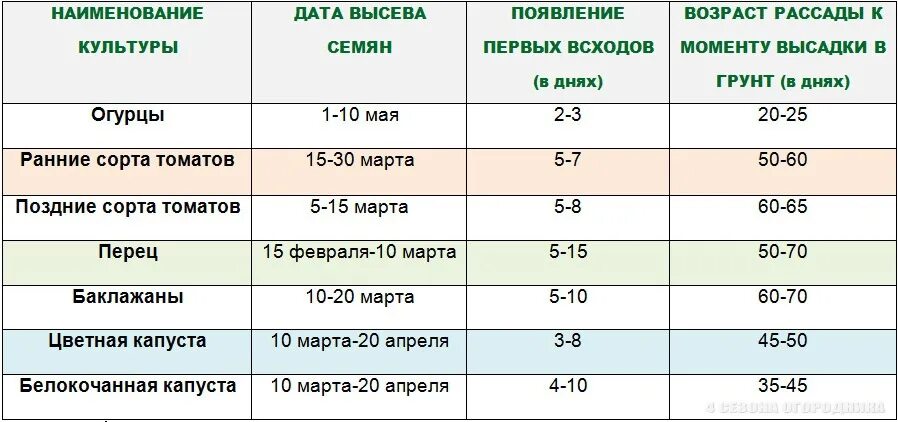 Какие сроки посева семян. Срок высадки томатов на рассаду. Сроки высадки семян томатов на рассаду. Сроки посева овощей на рассаду. Сроки посадки рассады огурцов для теплицы.