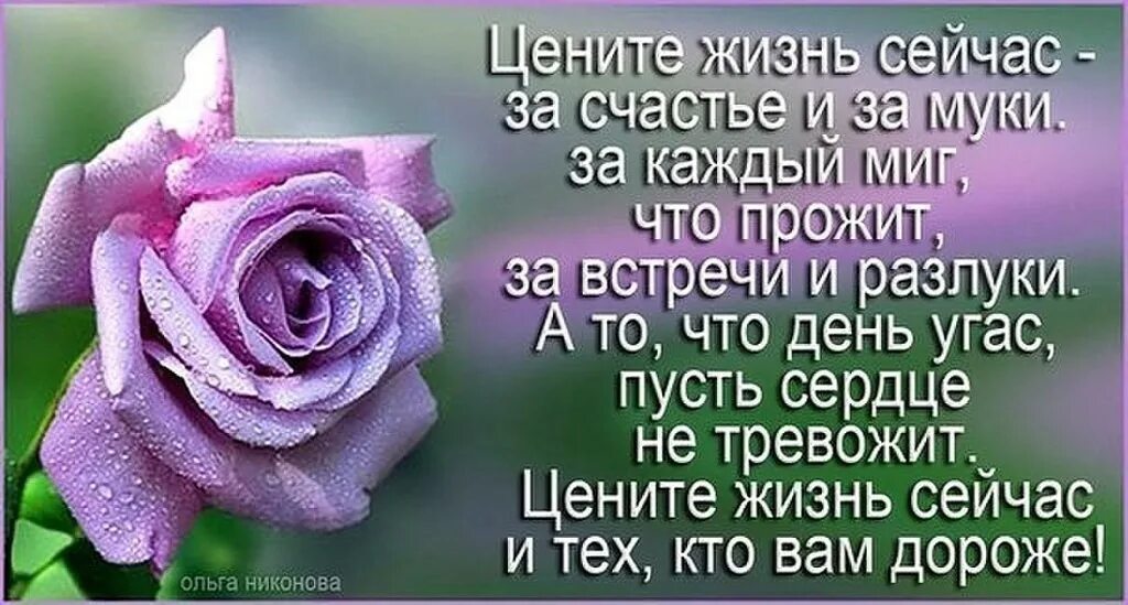 Такую бы жизнь каждому. Цените жизнь стихи. цените каждый день стихи. цените каждый день жизни. цените каждый прожитый день цитаты.
