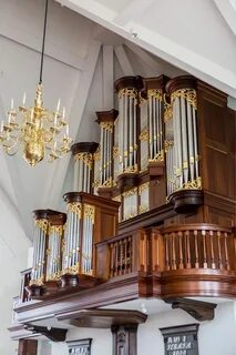 Орган 5 букв