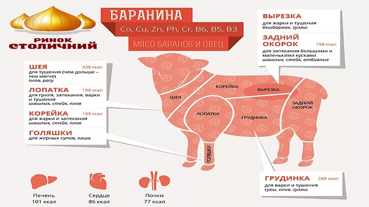 Часть баранины для плова. Схема разруба туши баранины. Мясо баранина схема разруба. Схема разделки мяса баранины. Схема разделки бараньей туши.