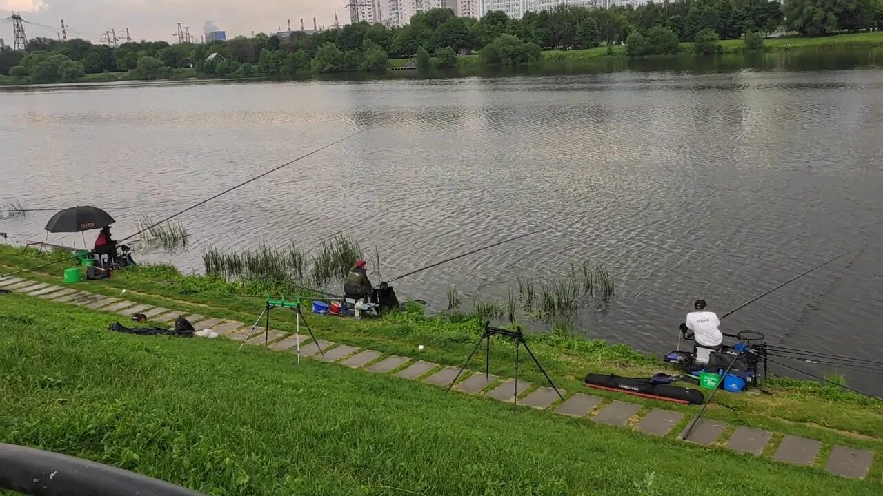 Ловля на москва реке. Москва река Марьино. Рыбалка в Марьино. Москва река рыбалка. Москва река в Марьино место для рыбалки.