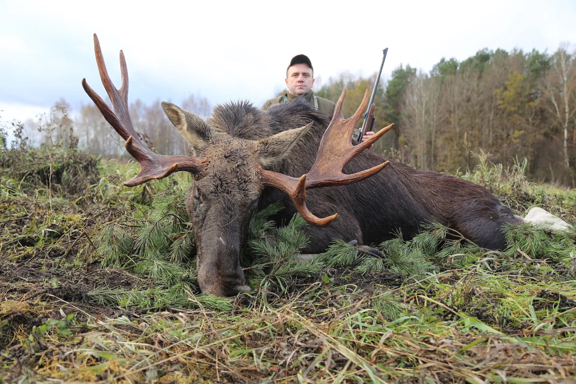 трофей это. охотничьи трофеи. охотничьи трофеи. охотничьи трофеи. трофейный.
