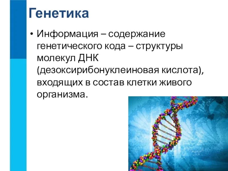 Наследственная информация представлена. Генетика информация. ДНК И наследственная информация. Информация в генетике.