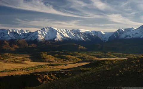 Село курай