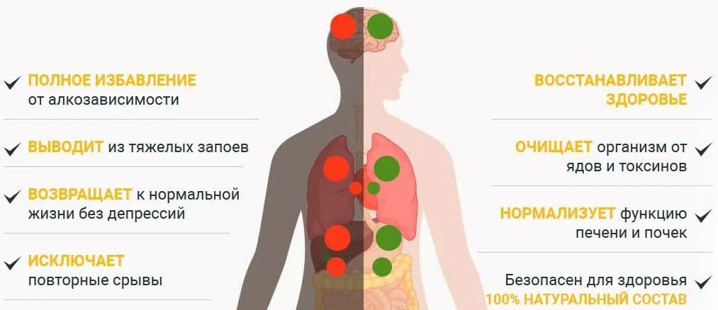 Выведение токсинов из организма. Выведение токсических веществ из организма. Вывод шлаков из организма. Как выводятся токсины