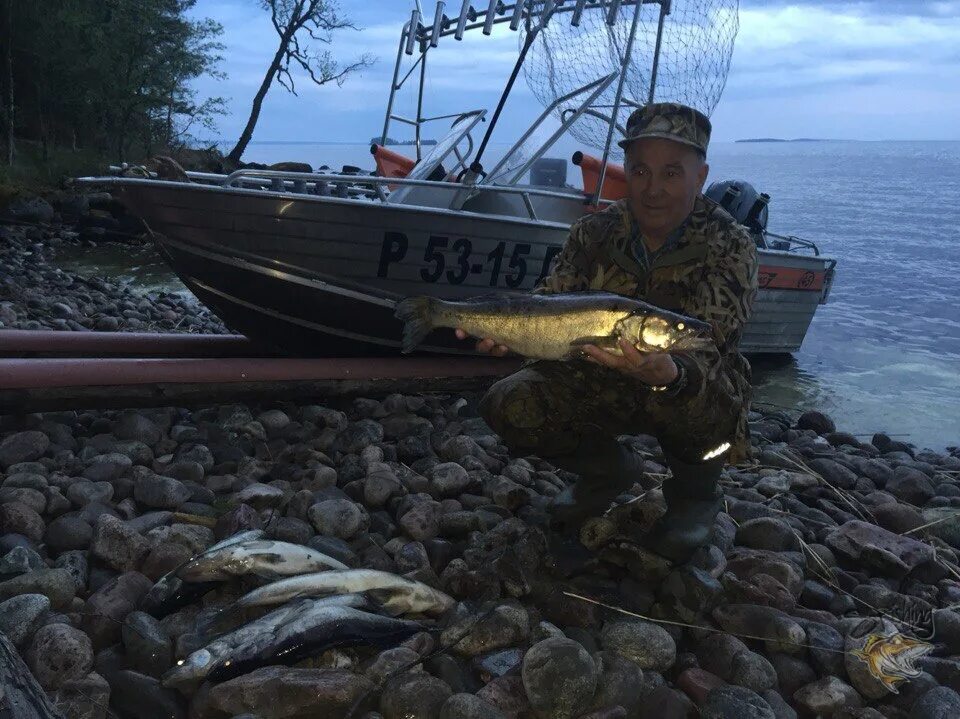 Рыбалка на озерах онежского озера. Рыбы Онежского озера. Колюха рыба Онежское озеро. Рыбалка на Онеге. Рыбалка на Нерсеом озере.