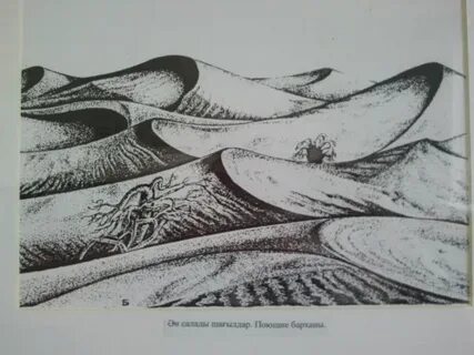 Интернеттегі порно кастингте мені алдап кетті.