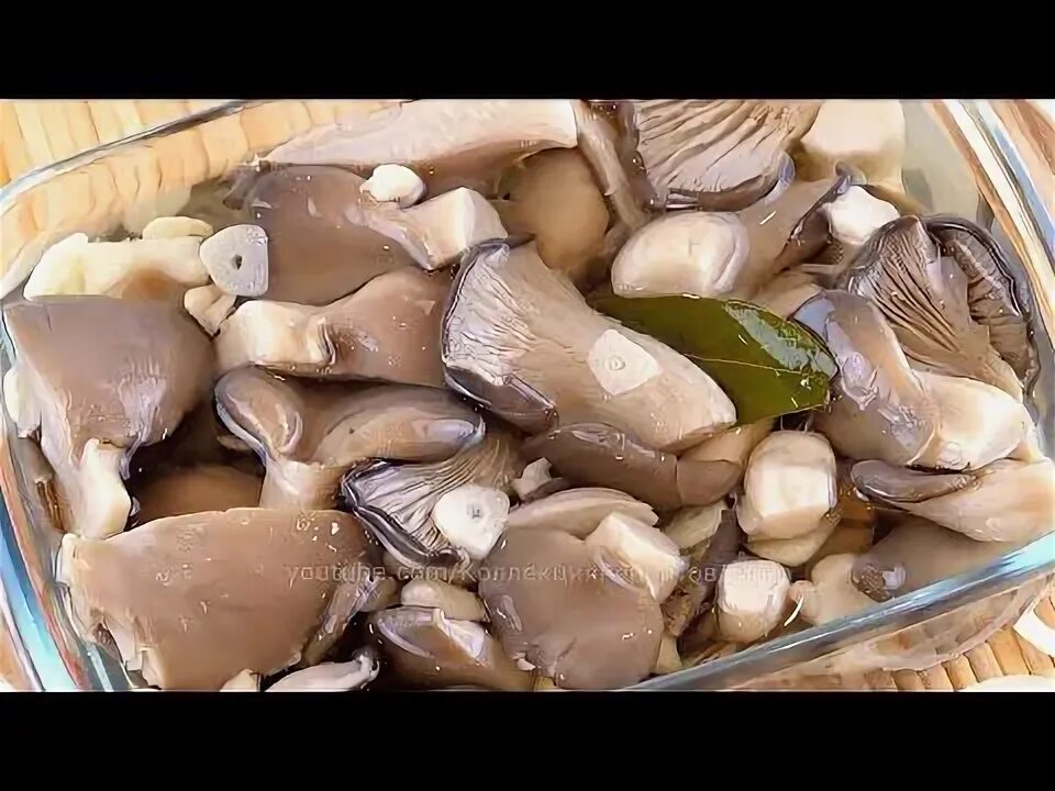 Грузди соленые. Гриб горькушка соленный. Как нужно солить грибы. Липовики грибы соленые. Грибы белянки маринованные на зиму горячим способом.