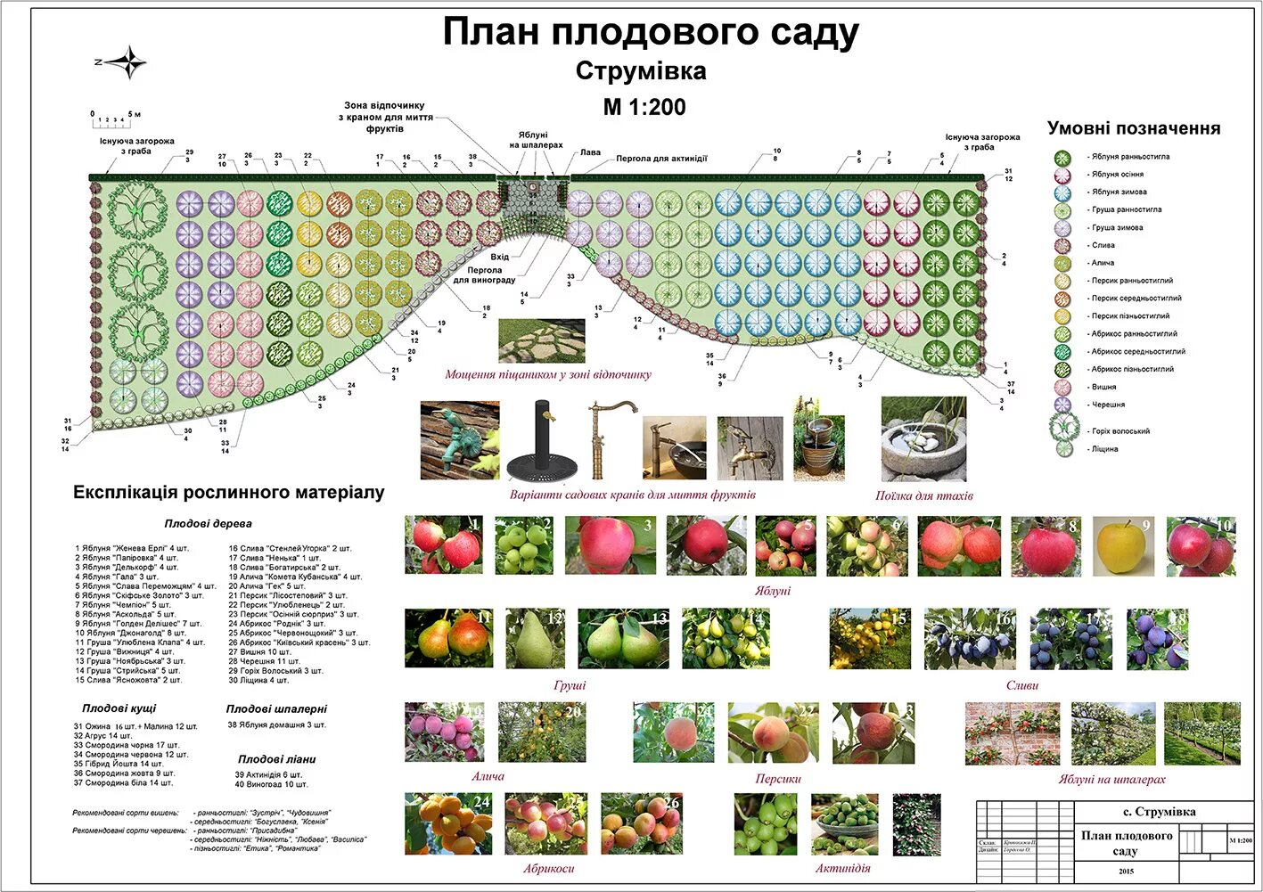 Как правильно посадить деревья на участке. Схема посадки плодовых деревьев в саду. Схема посадки плодового сада. Схема посадки плоловыхьдеревьев. Плодовый сад схема посадки кустов.