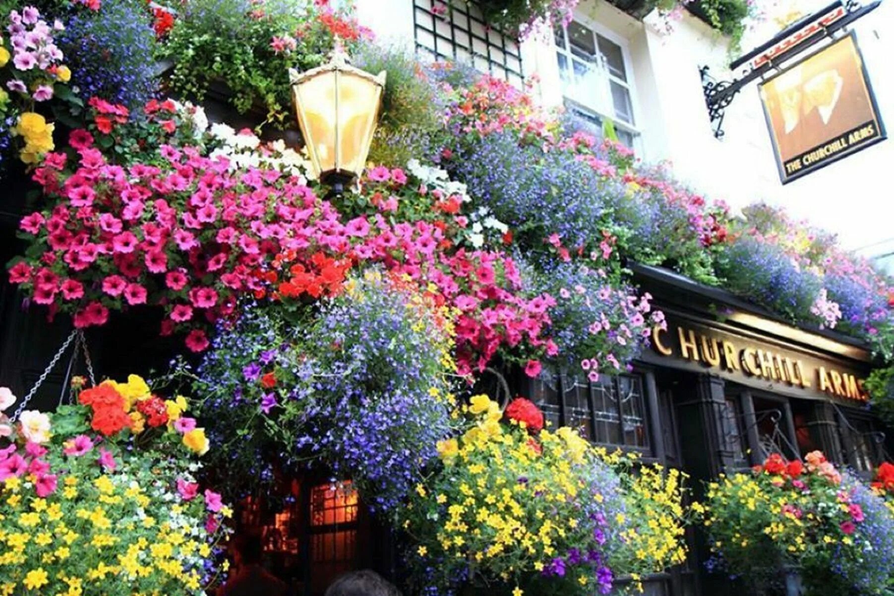 Street of flowers. Цветок Англии. Лондон цветы. Улица с цветами. Великобритания цветы на улицах.