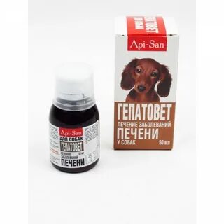 Профилактика печени собаки
