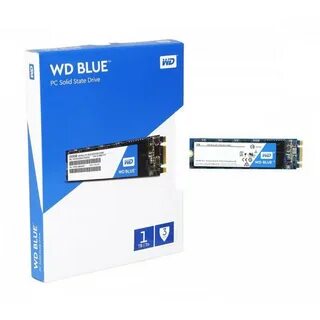Wd m2