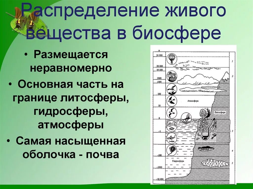 Распространение живого вещества в биосфере