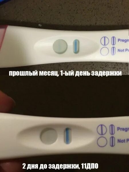 7 месяцев тянет живот