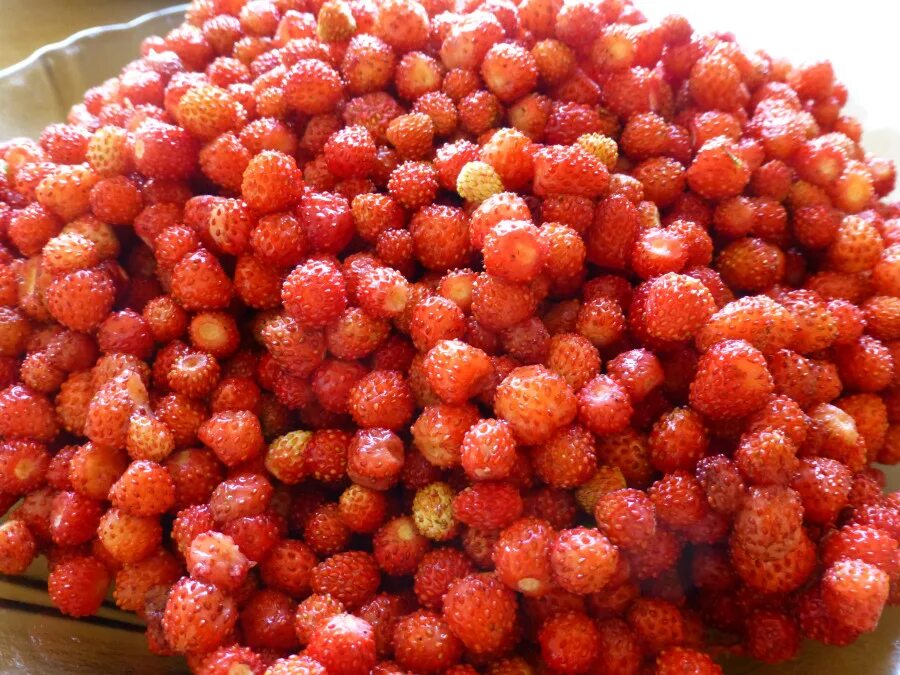 Каен жилэге и жир жилэге. Клубника лесная. Коэн жилэге. Полуника ягоды. Клубника лесная варенье.