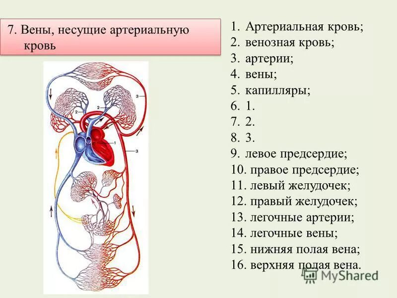 Класс внутри класса c. Класс внутри класса c