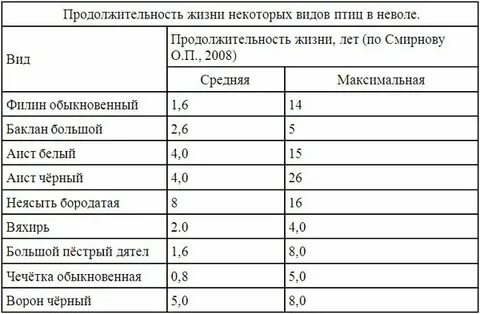 Сколько живут оли