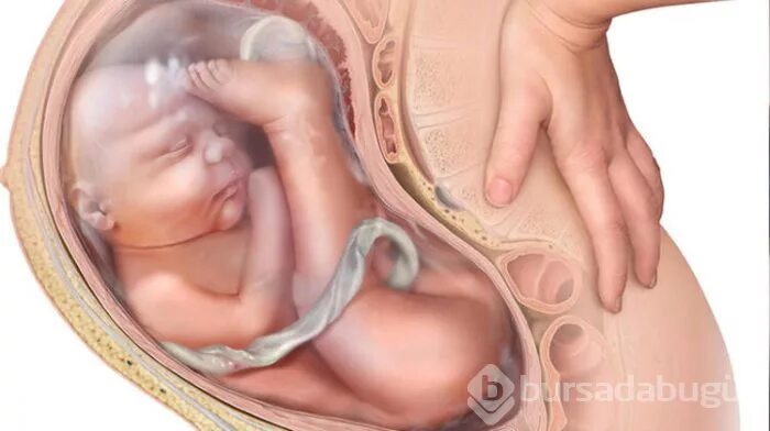 Шаг за шагом. 6 месяц беременности. Купание малыша. Первые дни после родов. После того как малыш в.