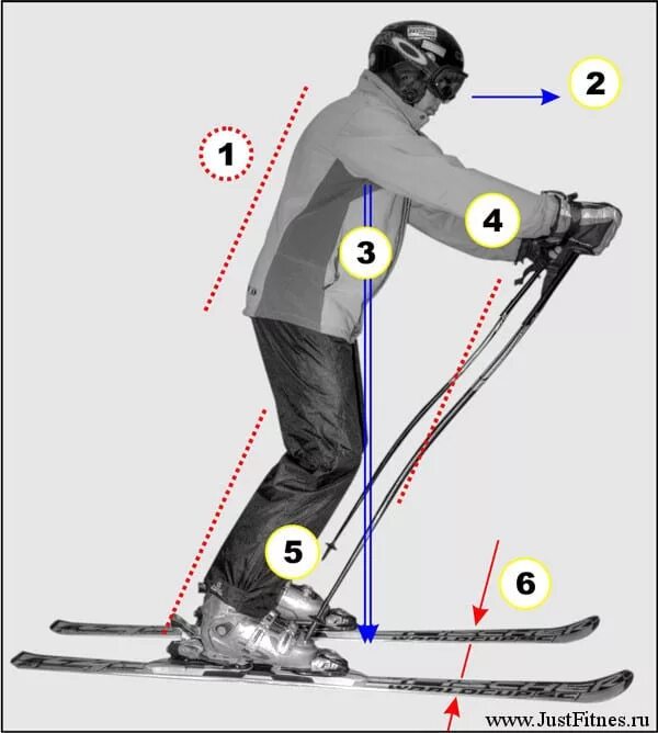 Правильный лыжник. Основная стойка горнолыжника. Горнолыжная стойка правильная. Стойка для горных лыж. Правильная стойка на лыжах.