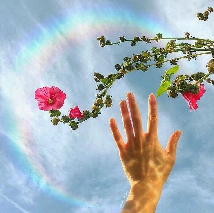 Надежда картинки. Hope картинка. Надежда картинки. Надежда есть картинка. Надежда картинки.