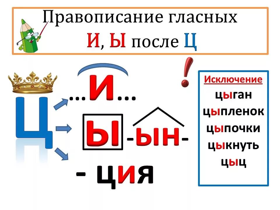 Буква и после ц пишется всегда. Правописание гласных после ц. Правописание гласных и ы после ц. Написание гласных после ц. Правило написания гласных после ц.