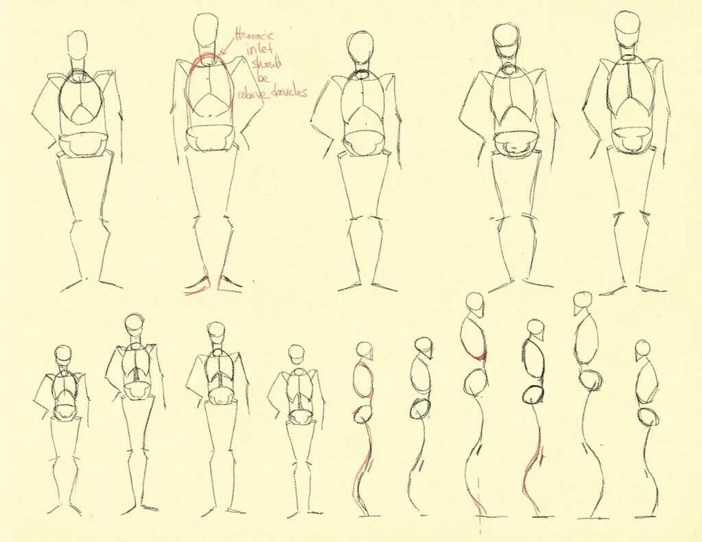 Как нарисовать человека поэтапно легко для начинающих. Схема рисования человека. Человек рисунок. Схема тела человека для рисования. Рисунки людей для начинающих.