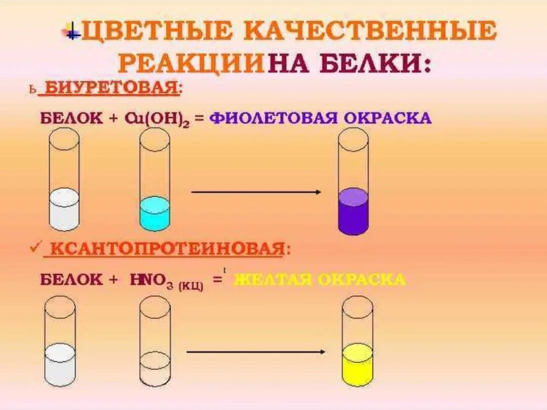 Белки вода реакция. Белки химические свойства качественные реакции. Биуретовая реакция на белки лабораторная. Качественная реакция на белки биуретовая. Цветные реакции белков.