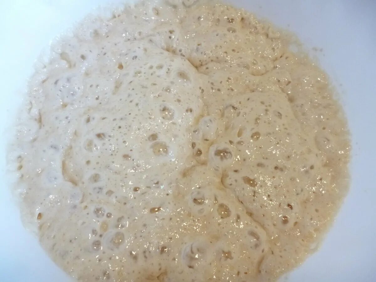 Опара для хлеба на закваске. Бежевая творожистая масса. Венское тесто для куличей на ночь. Опара для теста из сухих дрожжей. Эмир опара сейчас.