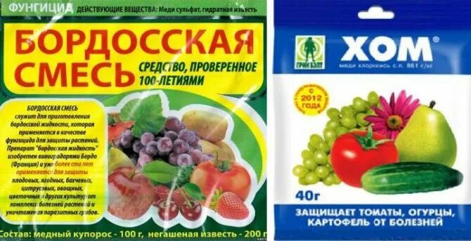 Что лучше бордосская смесь или медный купорос. Бордосская смесь 100г инструкция. Что лучше бордосская смесь или медный купорос. Купорос смесь. Медный купорос и бордосская смесь.