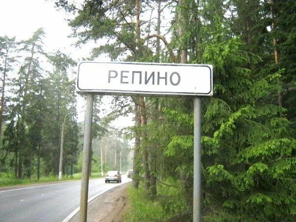 погода репино на 14 дней