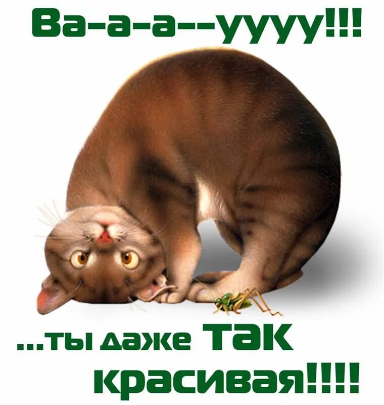 Комплименты подруге. Похвала примеры. Красивые стихи. Какой ты комплимент. Комплименты.