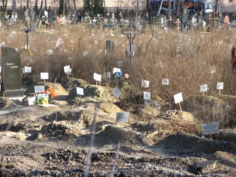 селифоново кладбище смоленск. кладбище смертников. могилы самоубийц кладбище. могилы самоубиенных на кладбище. самоубийц не хоронят на кладбище.