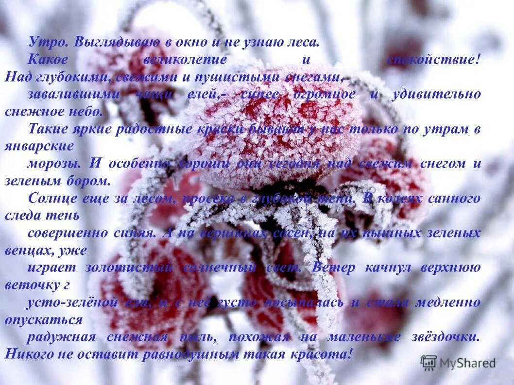 Над глубокими свежими снегами. Утро выглядываю в кусочек окна не запушенный морозом и не узнаю леса. Диктант проверяю себя. Сочинение описание природы. Выглядываю в кусочек окна не запушенный морозом и не узнаю леса.
