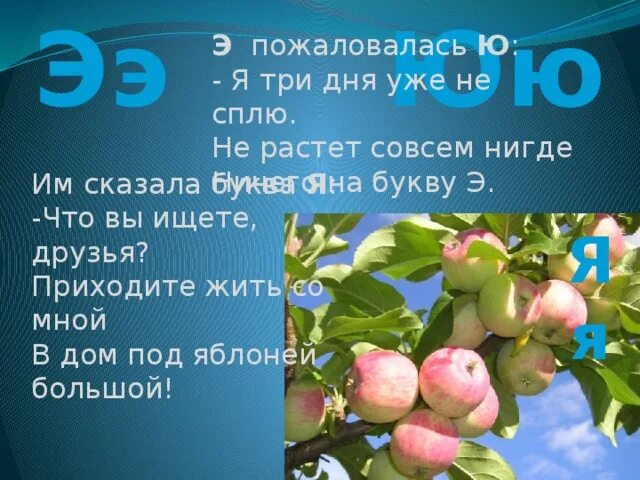 Э рос. Растения на букву э. Растет на дереве или кусте на букву э ю. Растение на букву ю. Растет на дереве на букву ю.