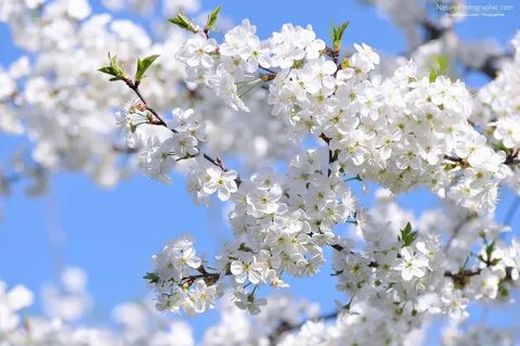 Тор шұлықтары бар Brazzers порно видеосы