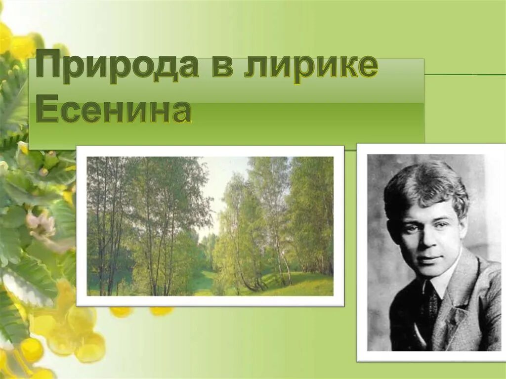 Природа в лирике Есенина. Стихотворение Есенина о природе. Тема природы в лирике.