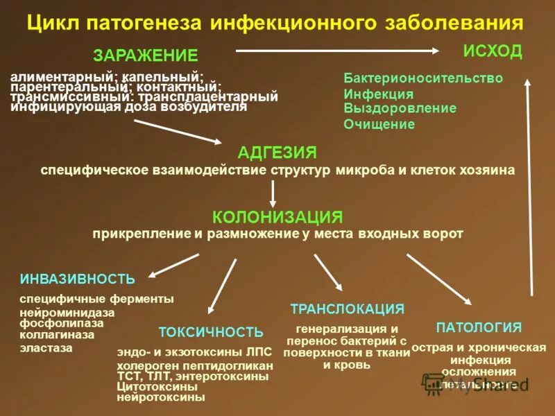 Микроорганизмы вызывающие патологический процесс